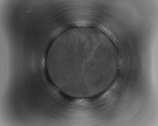 X0000093400117200711091348