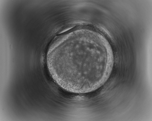 X0000093400119200711091348