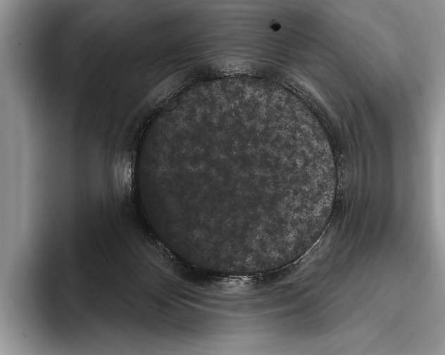 X0000093400124200711091348