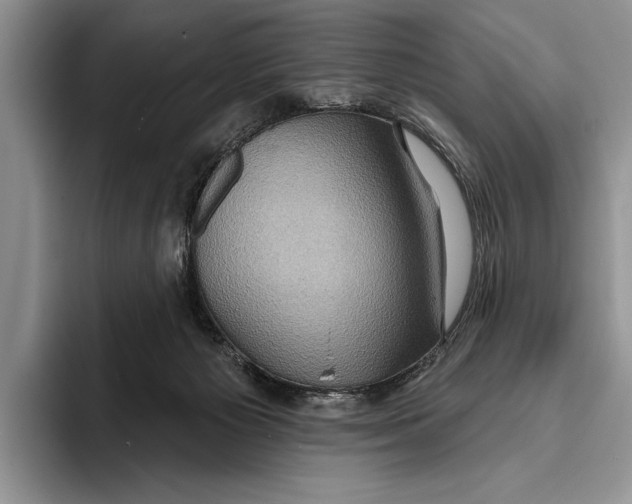 X0000093400125200711091348