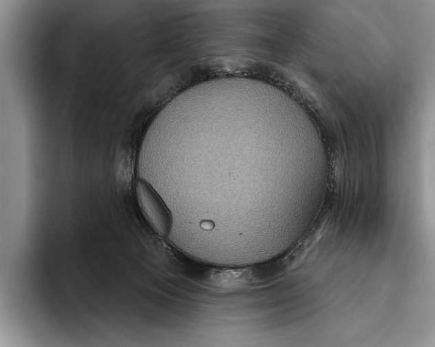 X0000093400129200711091348