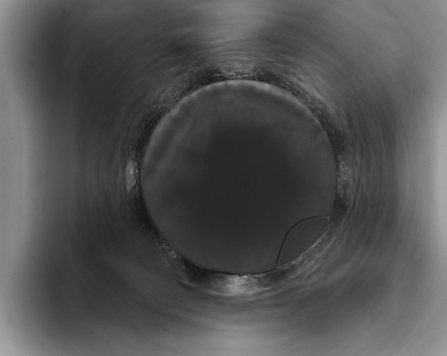 X0000093400130200711091348