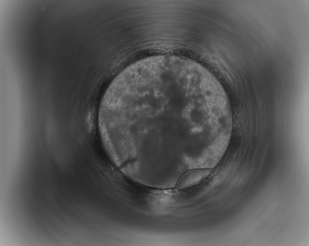 X0000093400131200711091348