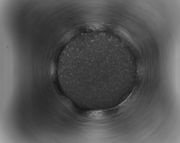 X0000093400132200711091348