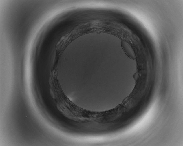 X0000093400143200711091348