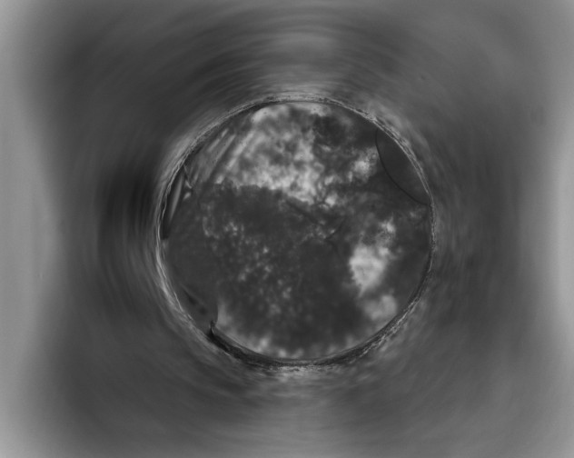 X0000093400145200711091347