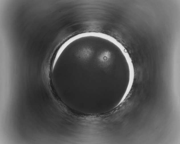 X0000093400146200711091347