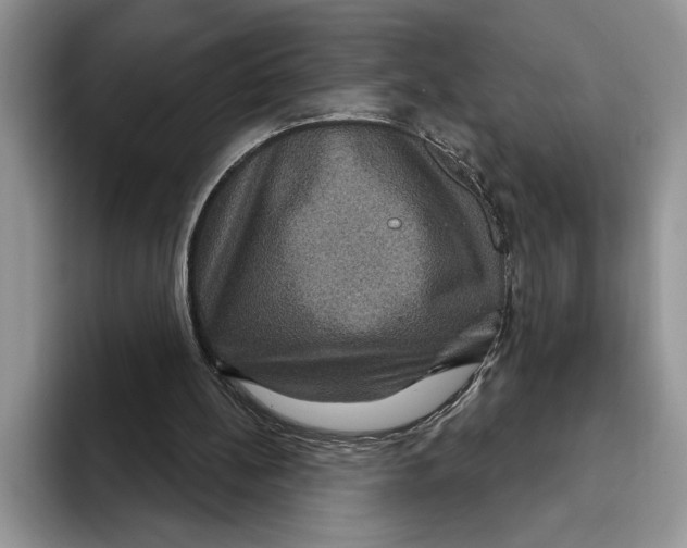 X0000093400148200711091347