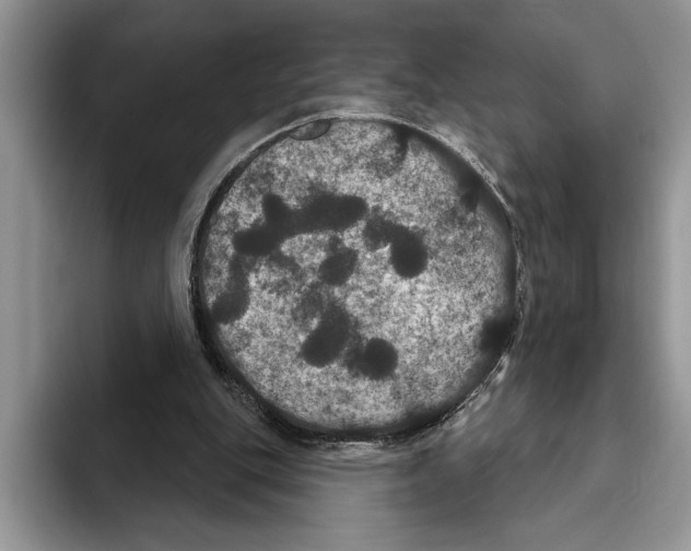 X0000093400151200711091347