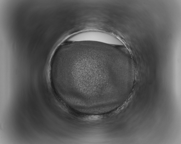 X0000093400152200711091347