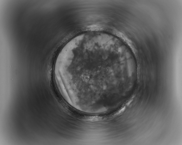 X0000093400153200711091347