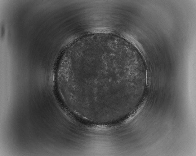 X0000093400157200711091347