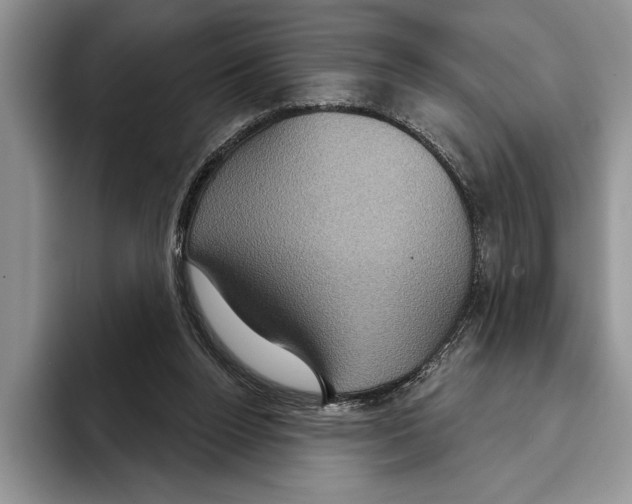 X0000093400160200711091347