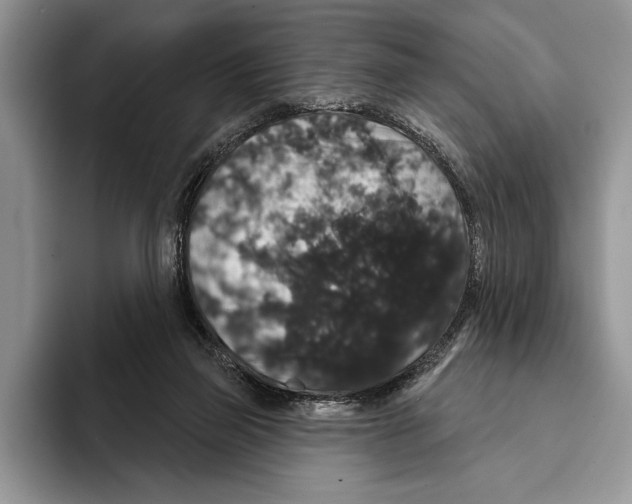 X0000093400165200711091347