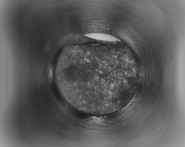 X0000093400166200711091347