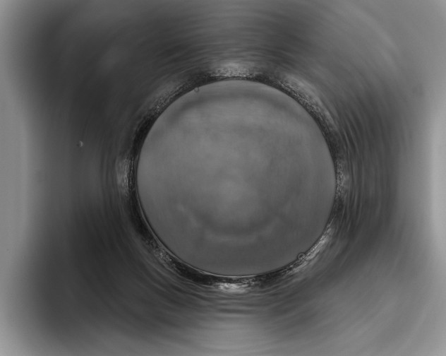 X0000093400167200711091347