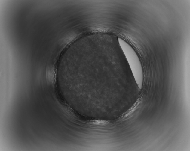 X0000093400168200711091347