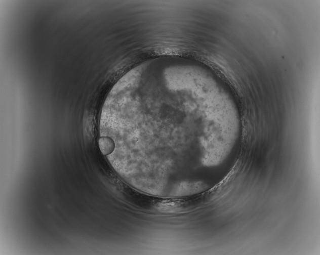 X0000093400171200711091347