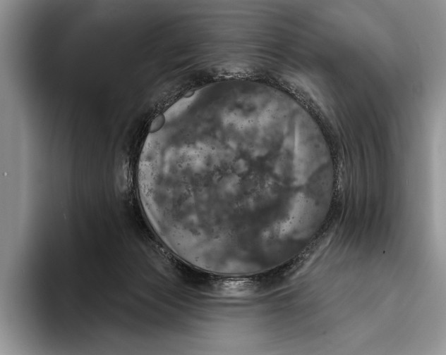 X0000093400173200711091347