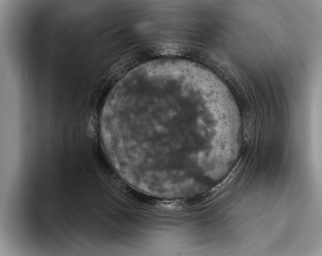 X0000093400175200711091348