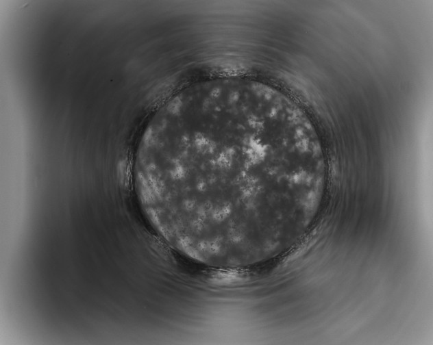 X0000093400177200711091348