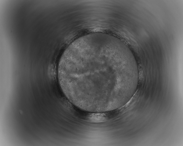 X0000093400179200711091348