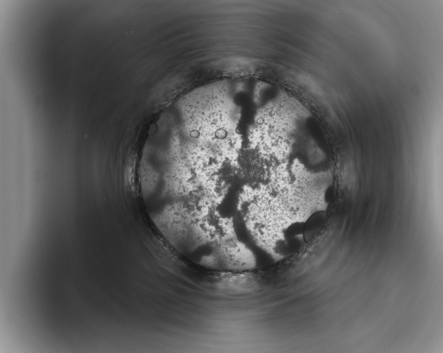 X0000093400185200711091348