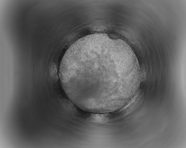 X0000093400187200711091348