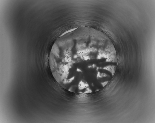 X0000093400189200711091348