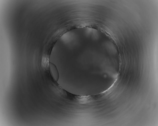 X0000093400191200711091348