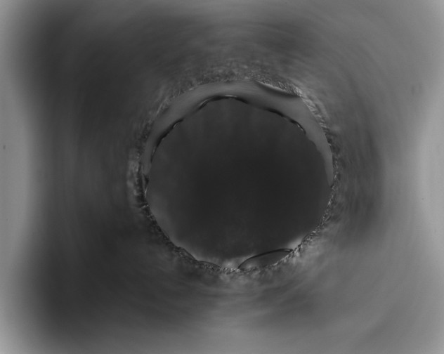 X0000093400192200711091348