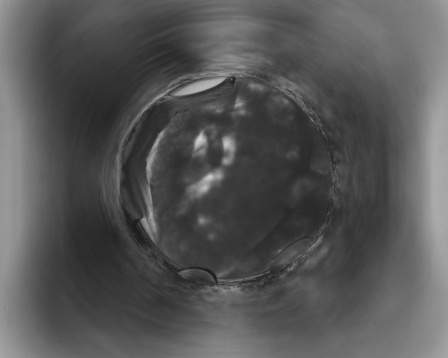 X0000093400194200711091347