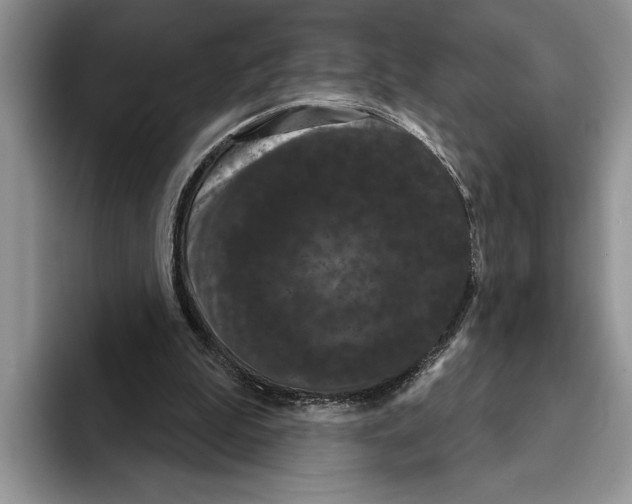 X0000093400199200711091347