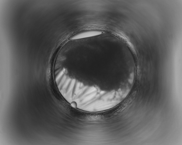 X0000093400202200711091347