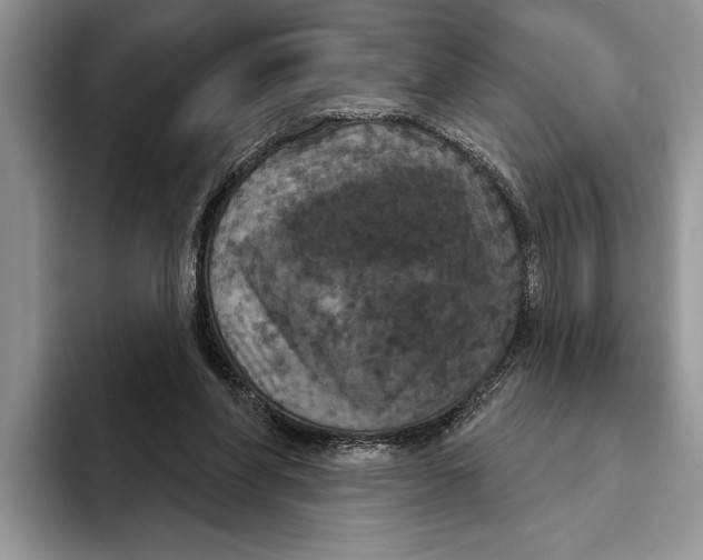 X0000093400206200711091347