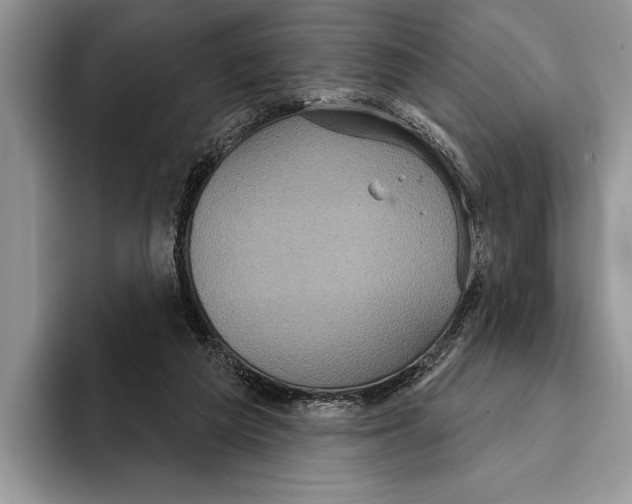 X0000093400209200711091347