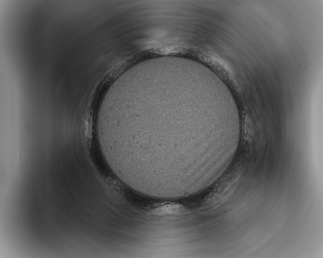 X0000093400210200711091347