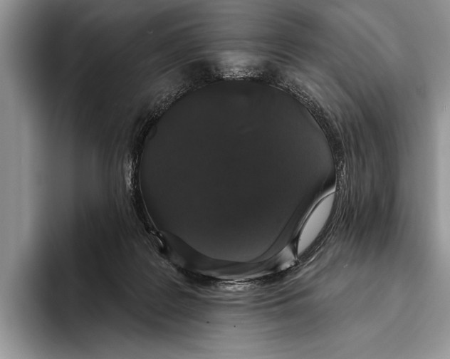 X0000093400219200711091347