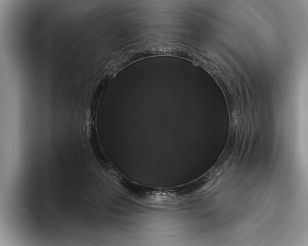 X0000093400223200711091347