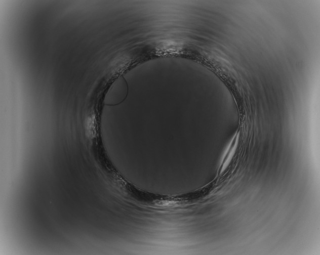 X0000093400224200711091347