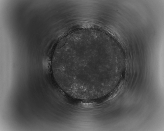 X0000093400228200711091347