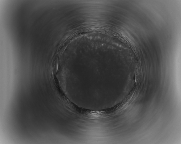 X0000093400229200711091347