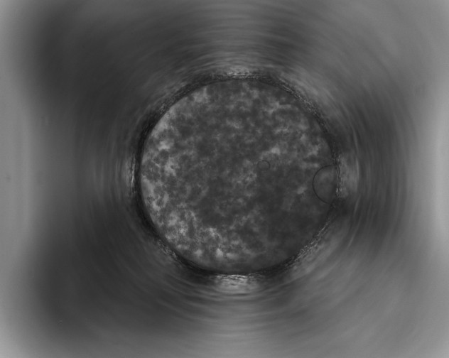 X0000093400230200711091347