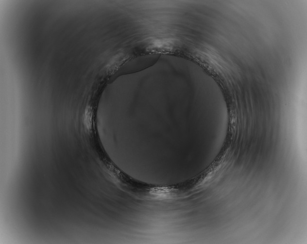 X0000093400231200711091347