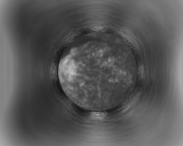 X0000093400234200711091346