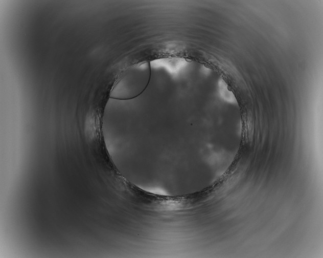 X0000093400236200711091346