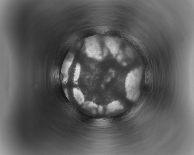 X0000093400238200711091346