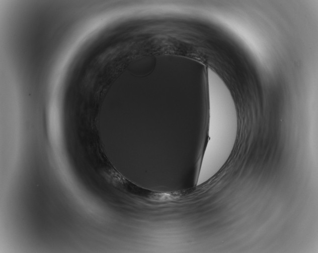 X0000093400239200711091346