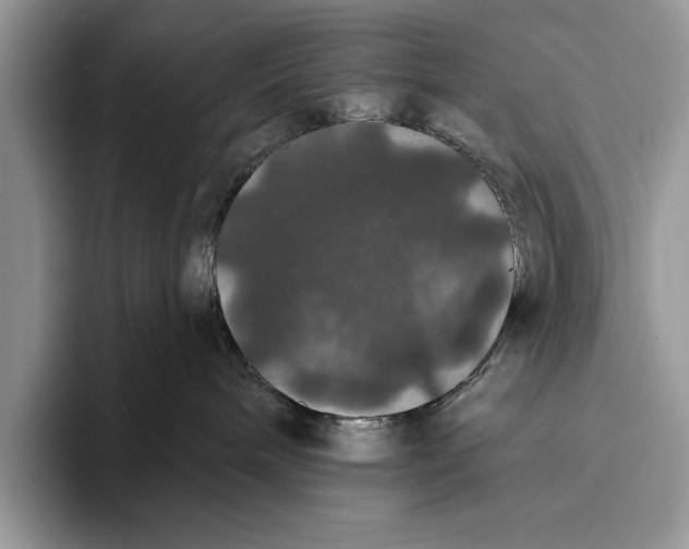 X0000093400240200711091346