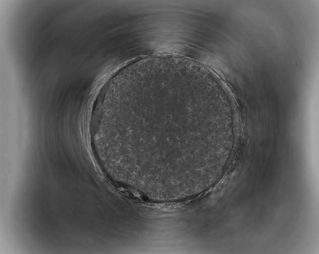 X0000093400241200711091346